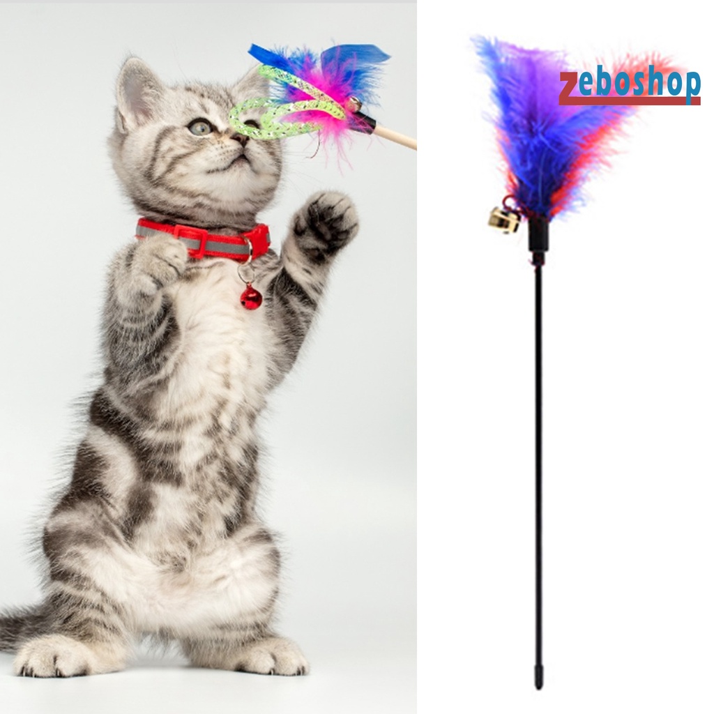 Gậy Gắn Lông Vũ Dùng Huấn Luyện Thú Cưng Vui Nhộn