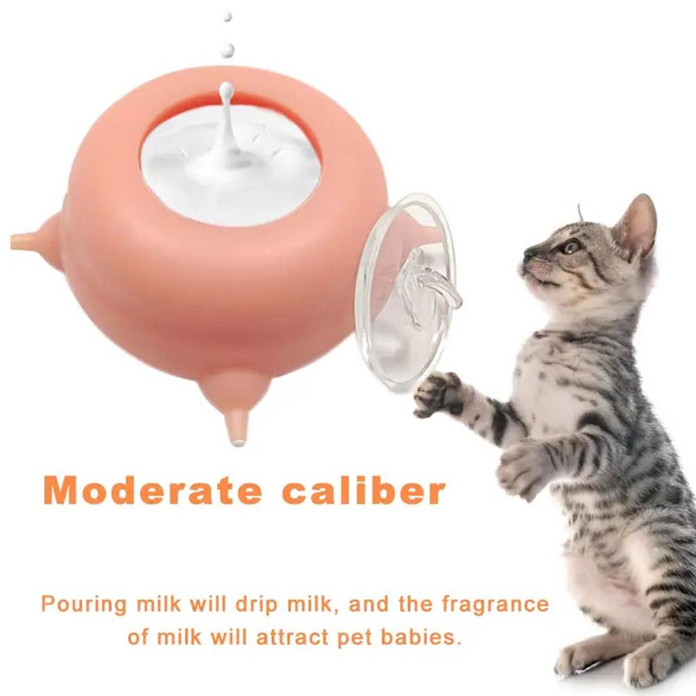 Tô Đựng Thức Ăn Cho Thú Cưng G1Q5