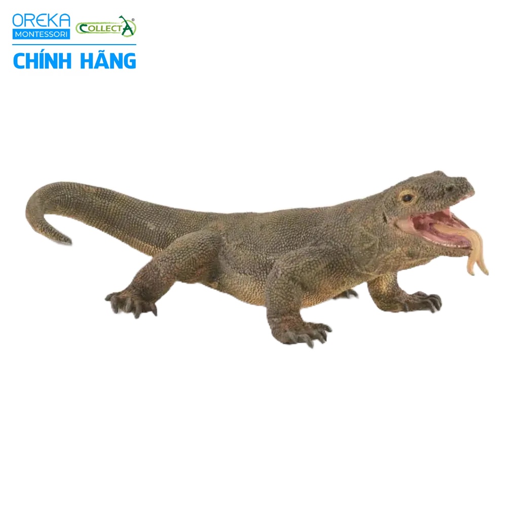 Mô hình động vật CollectA mã 9651210: Rồng Komodo