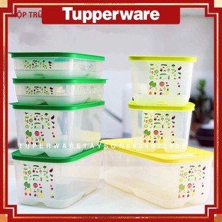 Bộ hộp trữ mát có nút hô hấp Ventsmart 7 hộp Tupperware