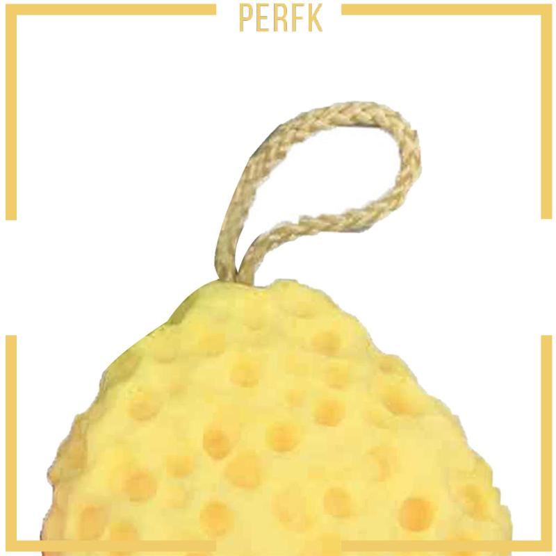 Máy Tắm Chăm Sóc Da Mịn Màng Tiện Dụng