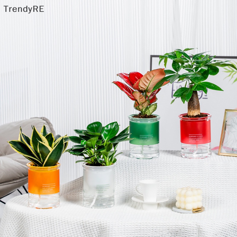 1 Chậu Hoa Tự Tưới Nước Tự Động Bằng Nhựa Trong Suốt