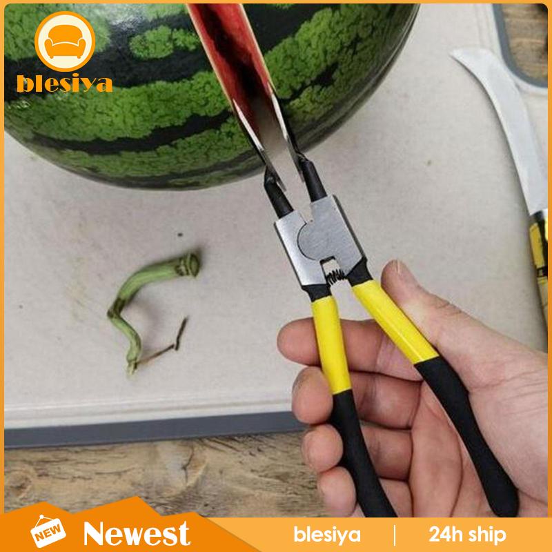 Dụng Cụ Lột Vỏ Trái Sầu Riêng Bằng Tay Siêu Bền Tiện Dụng Cho Nhà Bếp