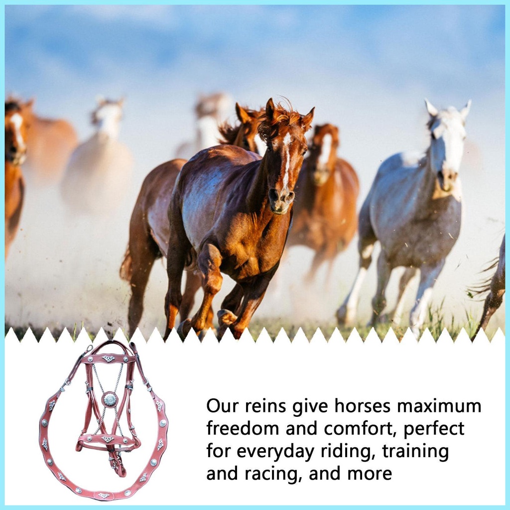 Dây Buộc Ngựa Và Dây Dẫn Bằng Da PU Cho Ngựa Unfettered Thiết Kế Tiện Dụng Thoải Mái