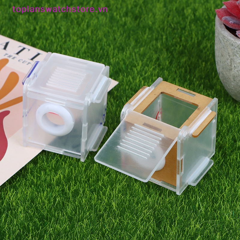 Ống Nối Tổ Kiến Bằng Acrylic Trong Suốt Chất Lượng Cao 15 / 18mm DIY