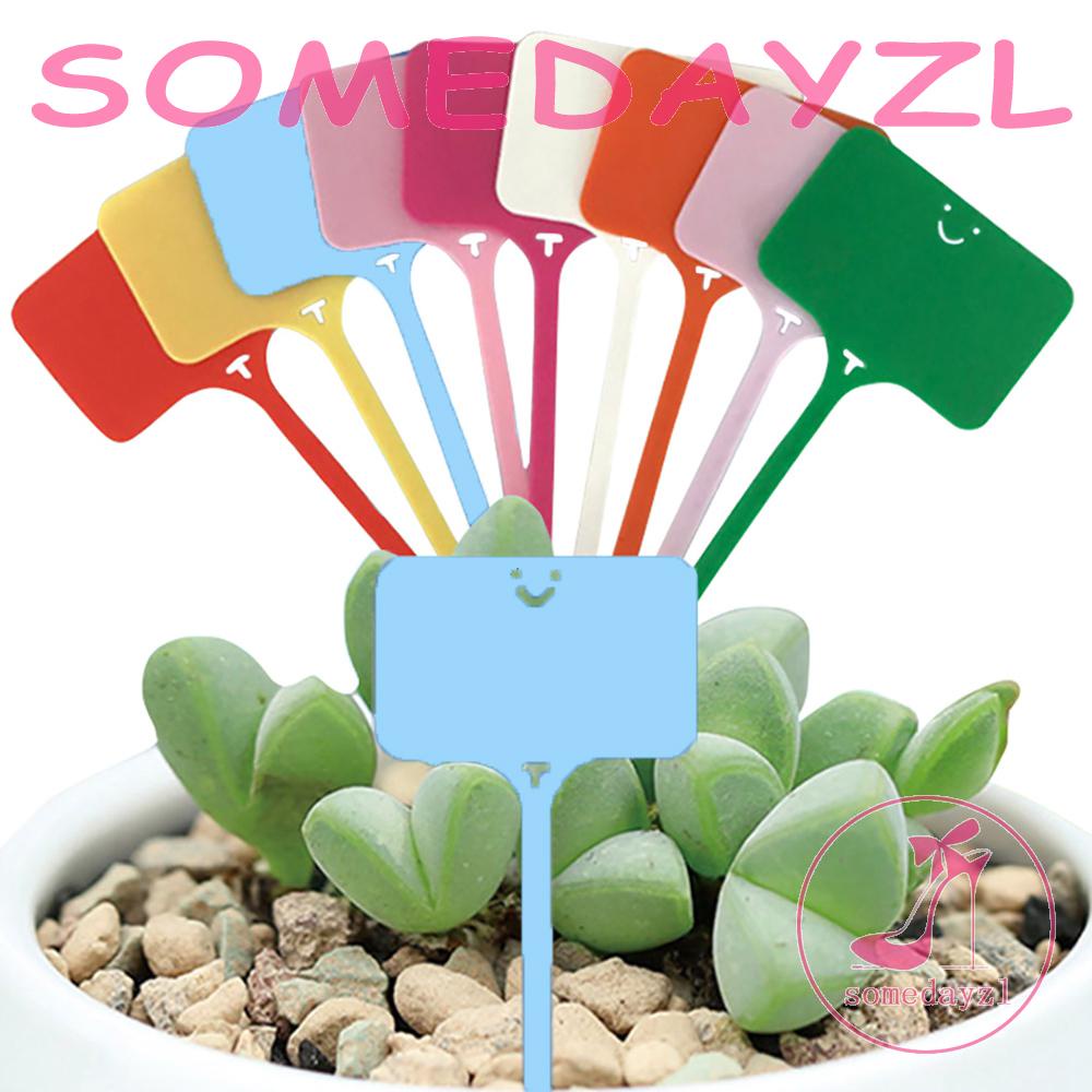 Thẻ Ghi Chú Hình Chữ T Nhỏ Gọn Tiện Dụng Cho Sân Vườn