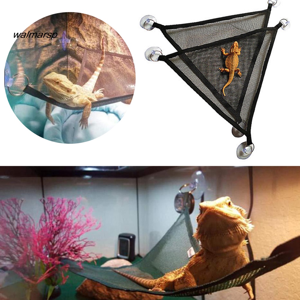 Võng Lưới Treo Hình Tam Giác Cho Bò Sát