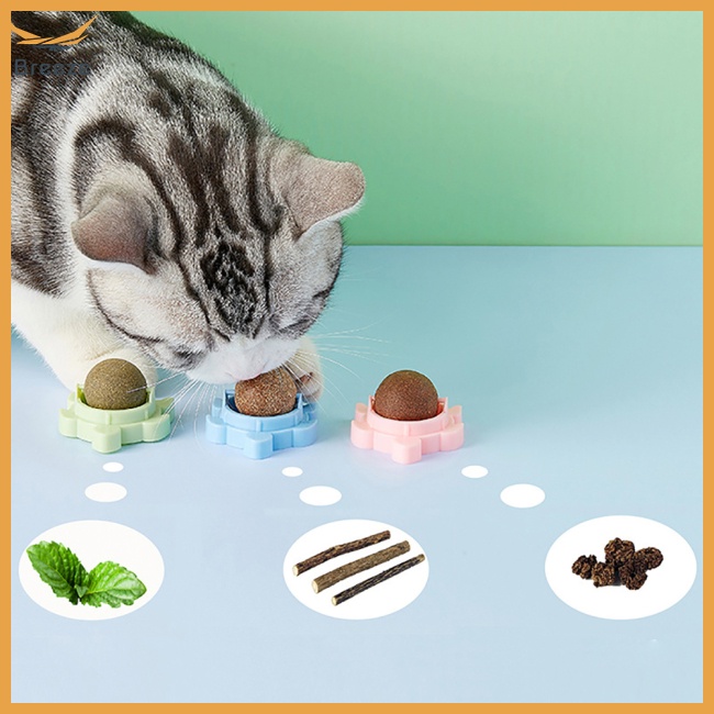 Quả Bóng Bạc Hà Tự Dính Hình Rùa Dễ Thương Cho Mèo Cưng