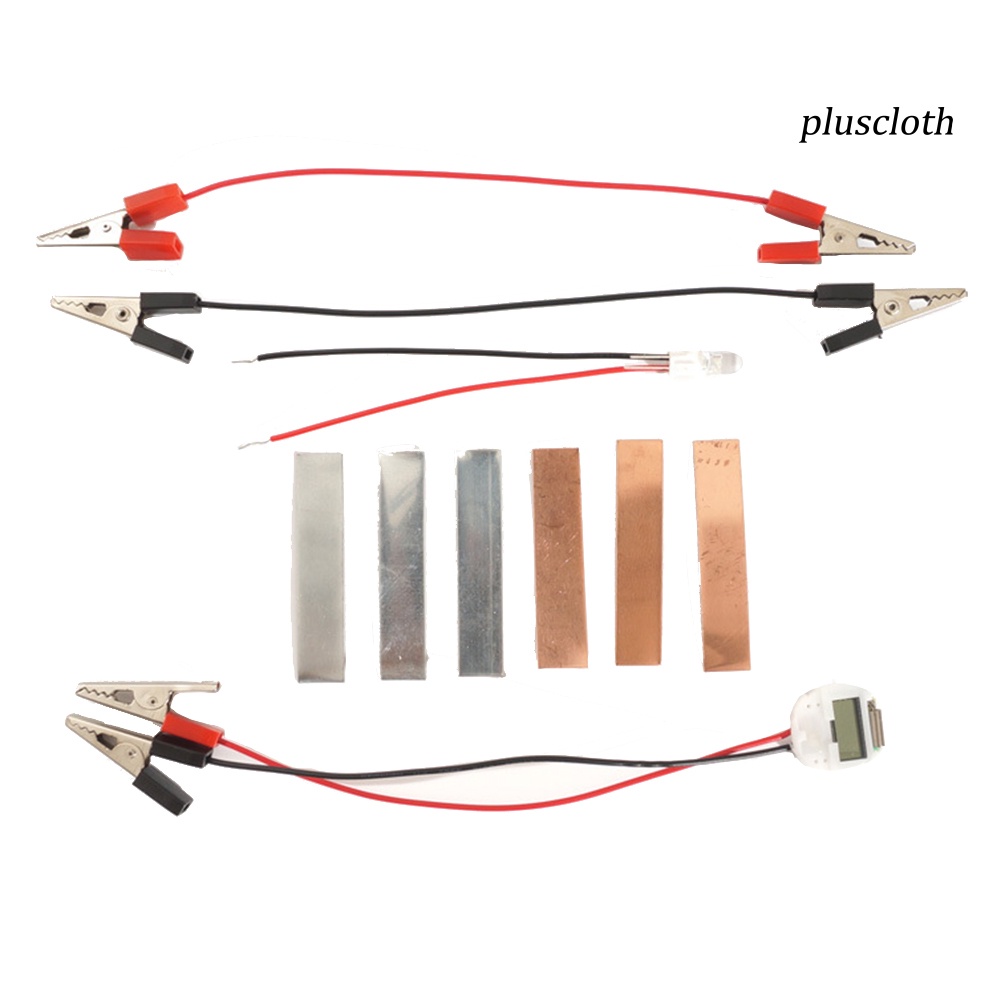 Bộ Đồ Chơi Thí Nghiệm Khoai Tây / Sinh Học Đèn Năng Lượng Mặt Trời DIY