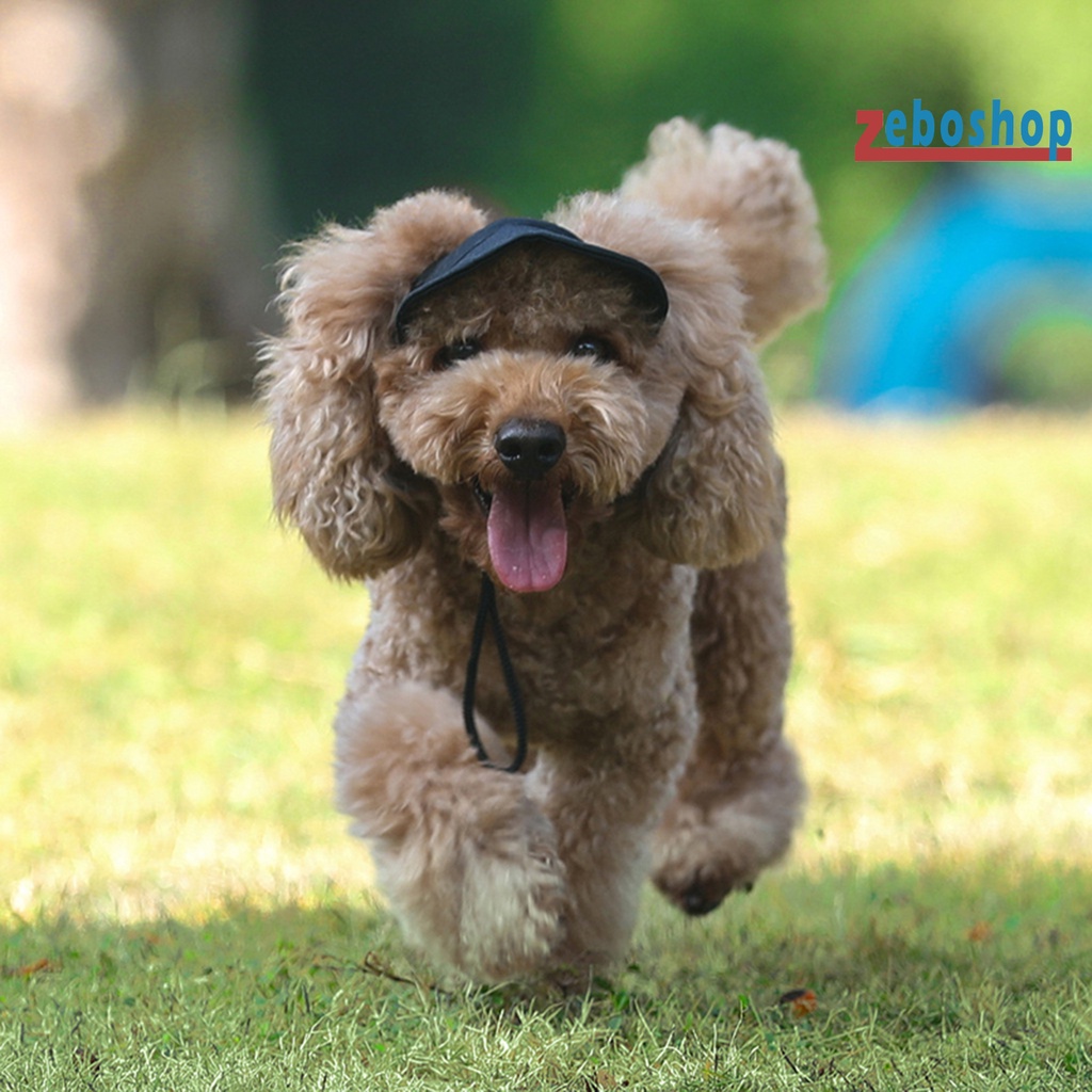 Zeboshop Mũ Bóng Chày Bằng Vải Canvas Siêu Mềm Vành Rộng Chống Mài Mòn Dễ Điều Chỉnh Cho Thú Cưng