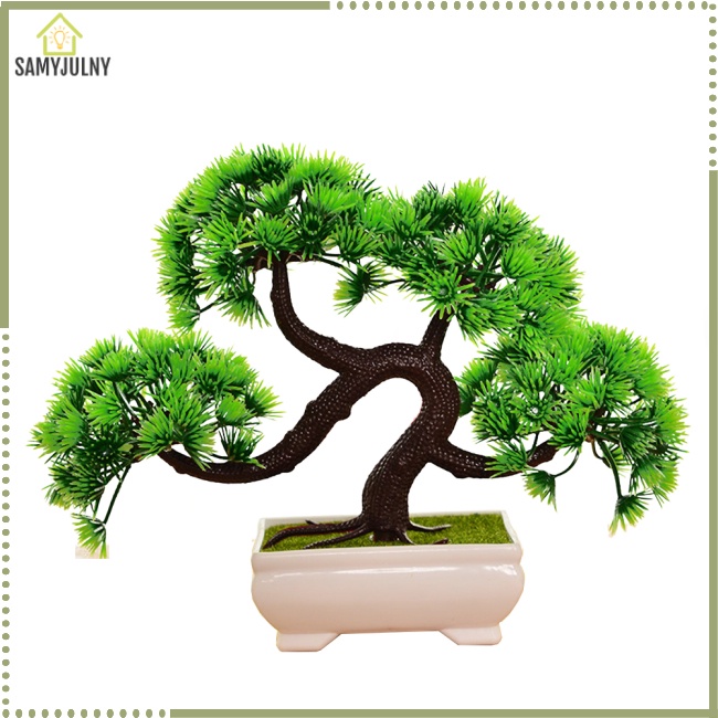 Chậu Cây Thông Giả Để Bàn Trang Trí Sáng Tạo