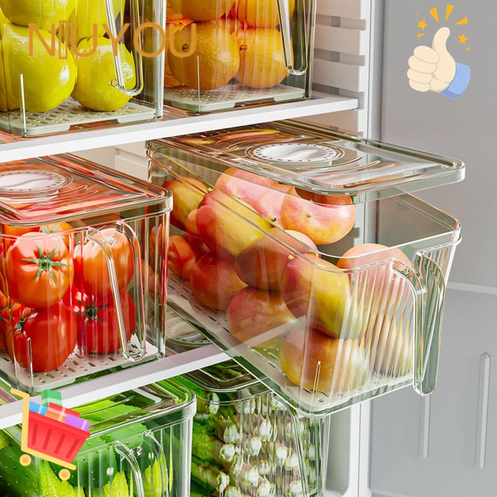 Hộp Bảo Quản Thực Phẩm Tươi Ngon Trong Tủ Lạnh