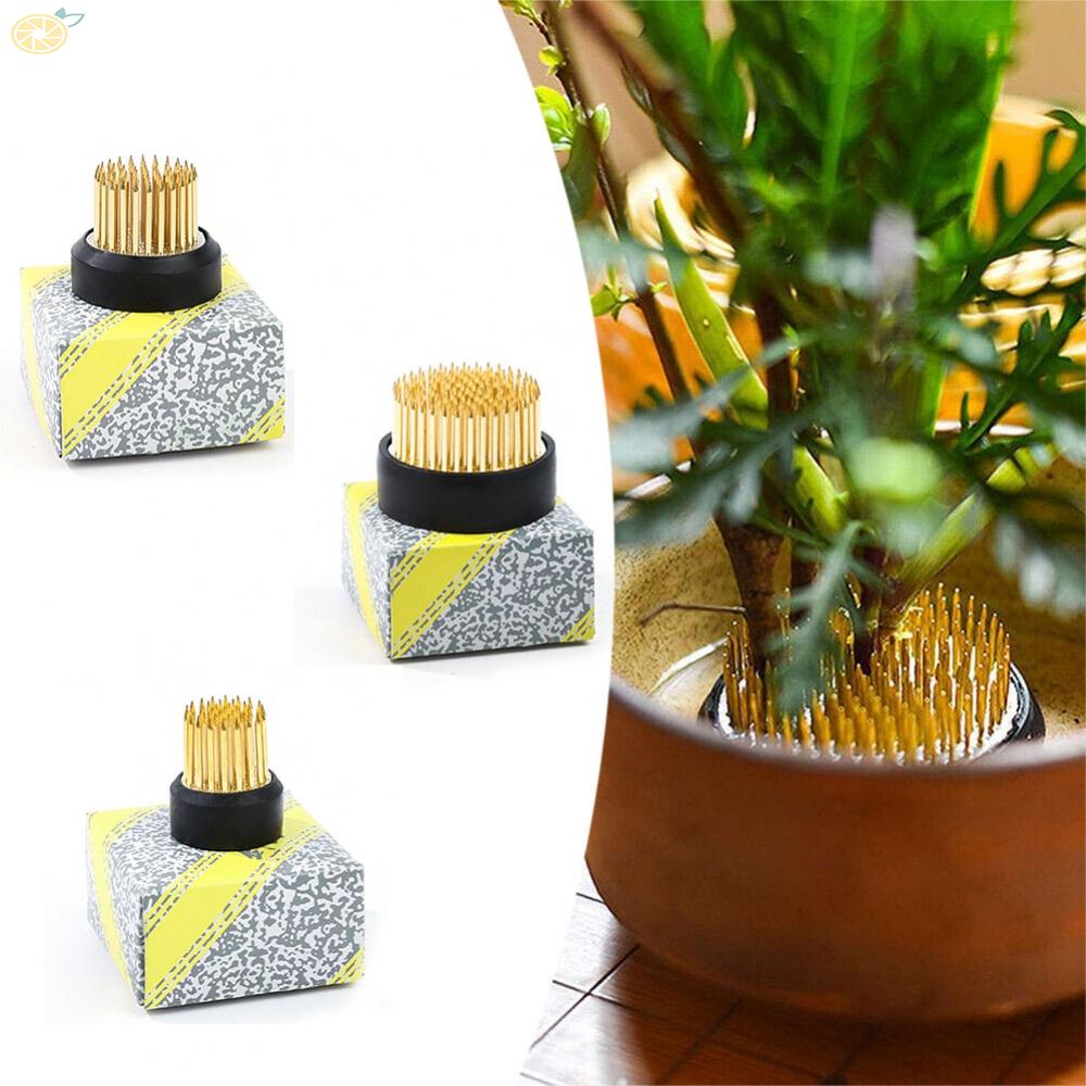 【VARSTR】Round for Ikebana Kenzan Flower Base Holder Spiky Frog Fixed Tool Floral Arrange