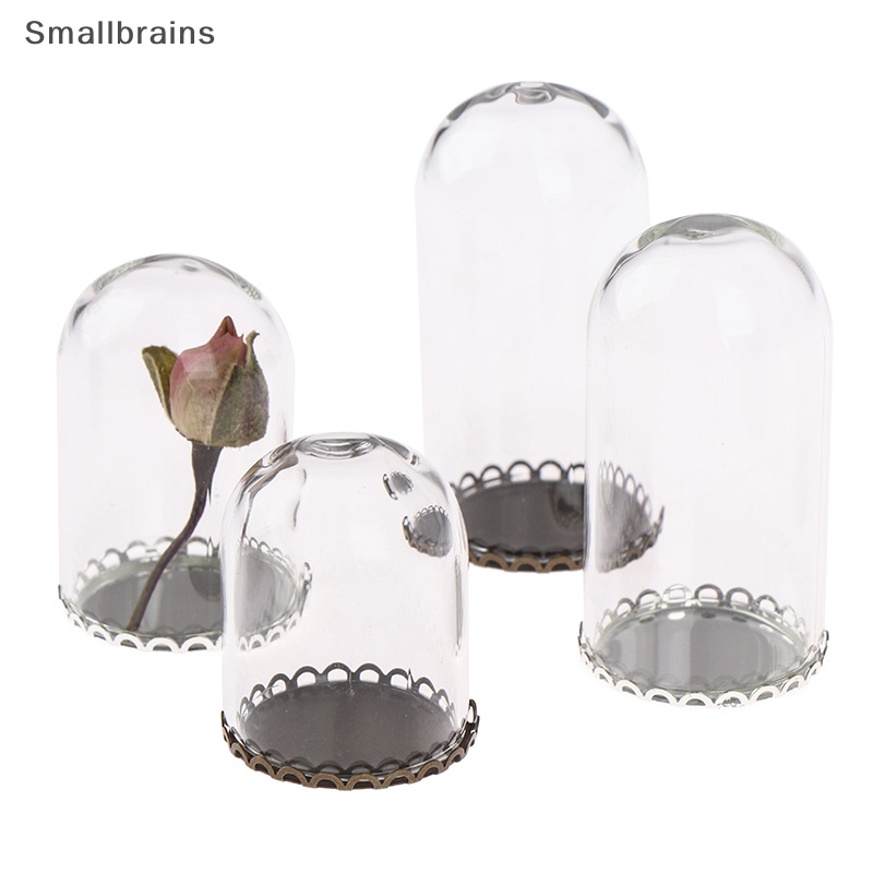 Lọ Thủy Tinh Đựng Hoa 25mm Cho Nhà Búp Bê