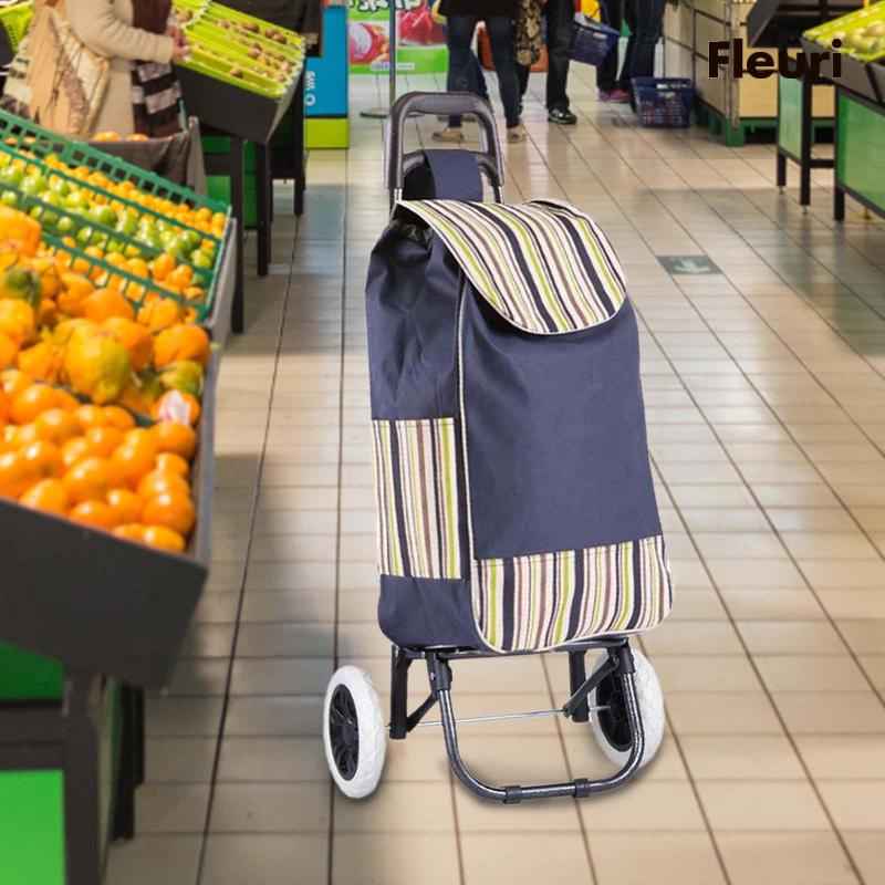 Xe Đẩy Mua Sắm / BBQ Có Bánh Xe Đẩy Gấp Gọn Tiện Lợi