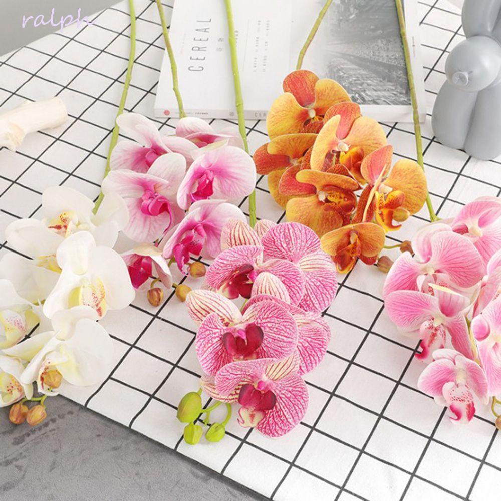 Hoa Lan Giả Trang Trí Nhà Cửa