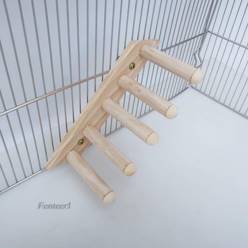 Thang Leo Siêu Bền Cho Chuột Hamster 1 Inches