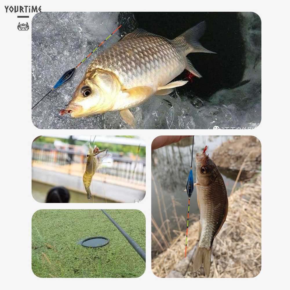 Phao Nổi Câu Cá Dạng Đứng Chất Lượng Cao