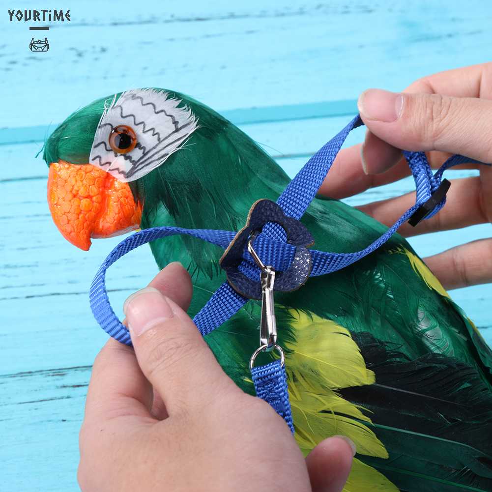 Dây Huấn Luyện Vẹt Chống Bay Có Thể Điều Chỉnh Kích Cỡ