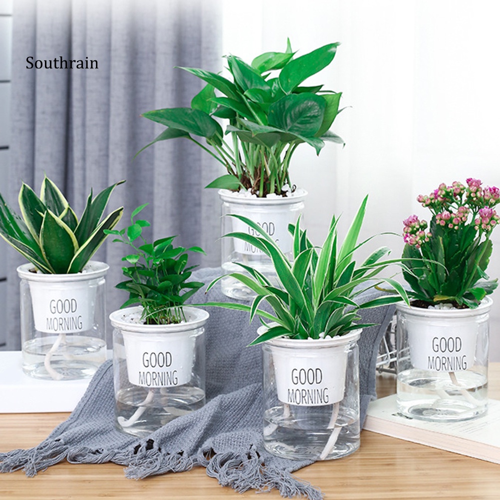 Set 2 Chậu Hoa Thủy Canh Tự Tưới Nước Trang Trí Nhà Cửa