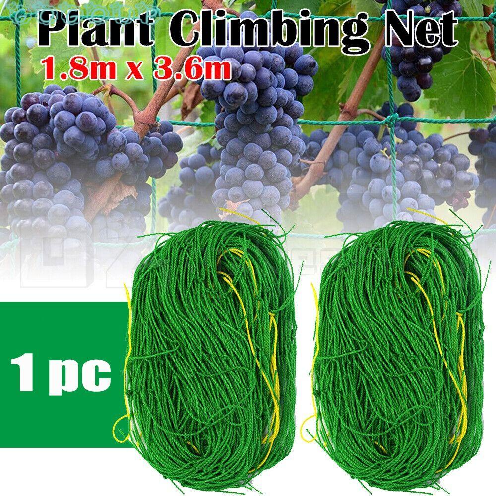 Lưới Nhựa Nylon &amp; Nylon Kích Thước 1.8 * 3.6m Dùng Trồng Cây Trang Trí Nông Trại