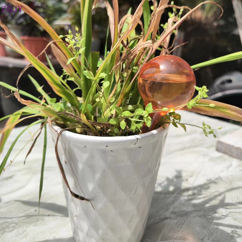 Dụng Cụ Tưới Nước Tự Động Nhỏ Giọt Cho Chậu Cây Mới