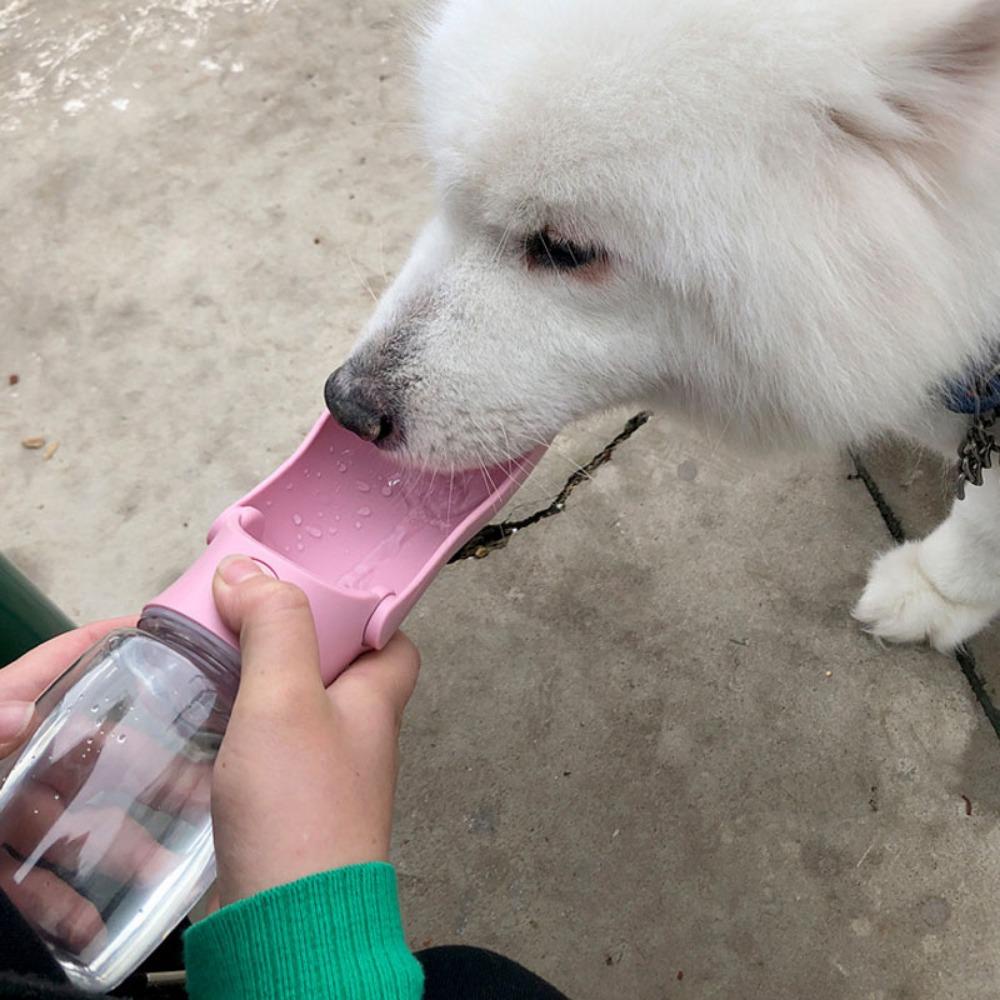 Dụng Cụ Đựng Nước Uống Bằng Nhựa Có Thể Gấp Gọn Kèm Dây Treo Chống Rò Rỉ Tiện Dụng Cho Thú Cưng