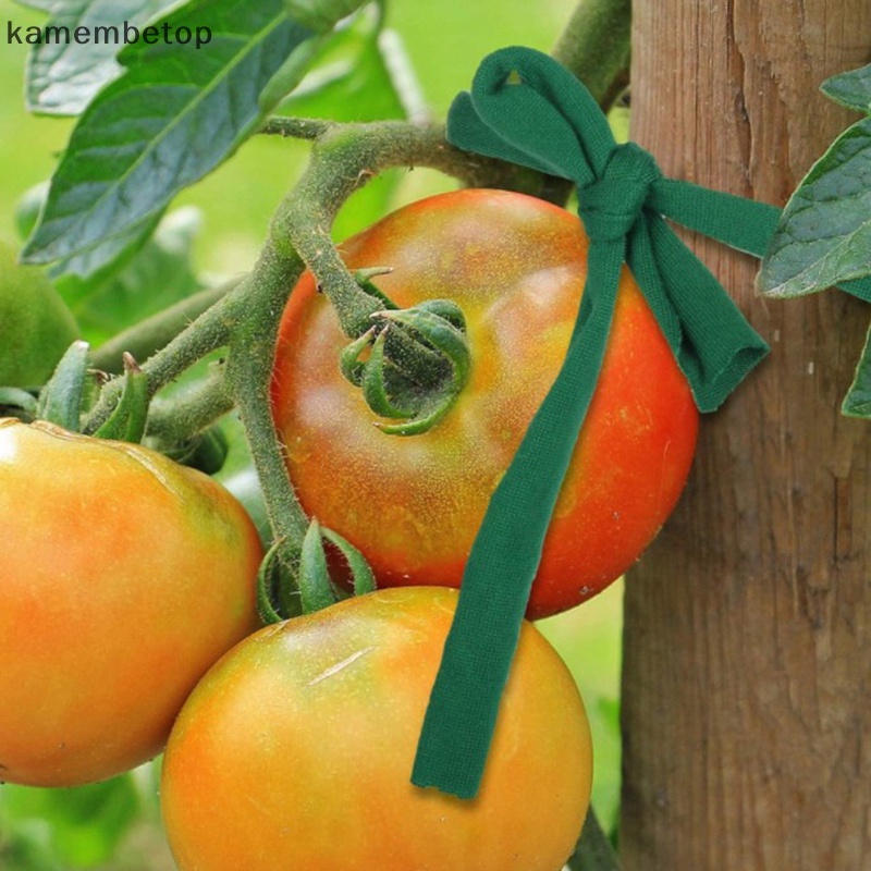 Beto Dây Mềm Co Giãn Hỗ Trợ Trồng Cây Dây Leo Bằng Acrylic Màu Xanh Lá