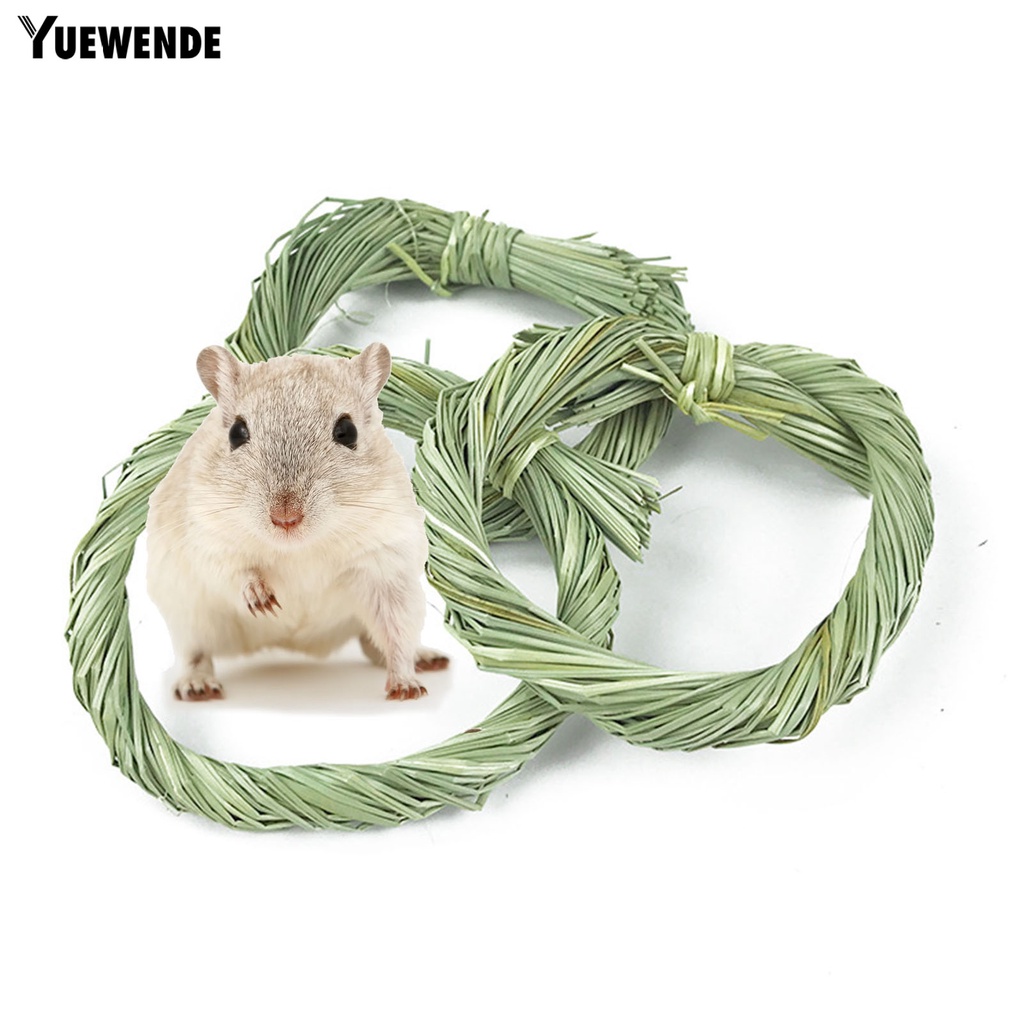 Bộ 5 Túi Cỏ / Cà Rốt / Thỏ / Cà Rốt Trọng Lượng Nhẹ Tự Nhiên Chống Trầy Xước Chống Cắn Cho Cún Cưng