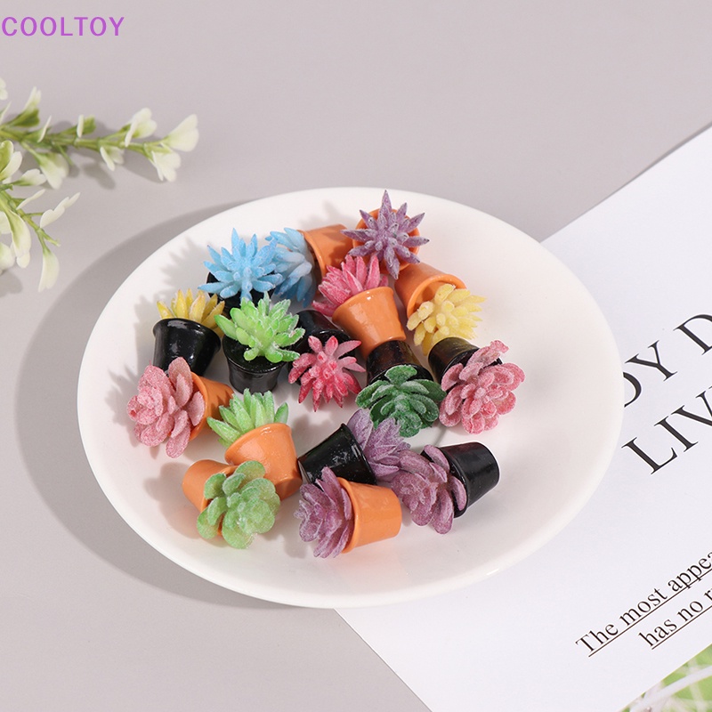 Set 5 Mô Hình Cây Cảnh Trang Trí Nhà Búp Bê Tỉ Lệ 1: 12