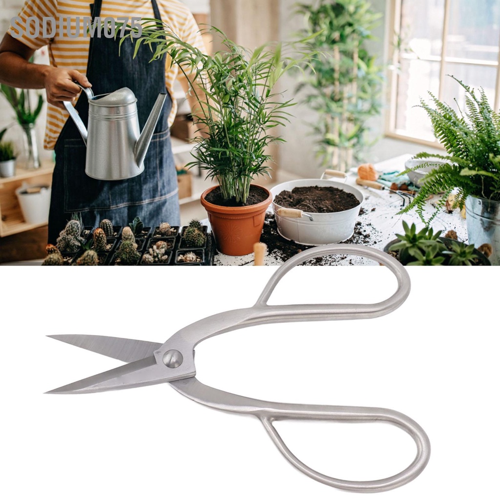 Sodium075 Cây Cảnh Kéo 20CM Thép Không Gỉ Trong Nhà Làm Vườn Hoa Thân Thảo Dược Bấm Cắt Tỉa Thực Vật Bạc
