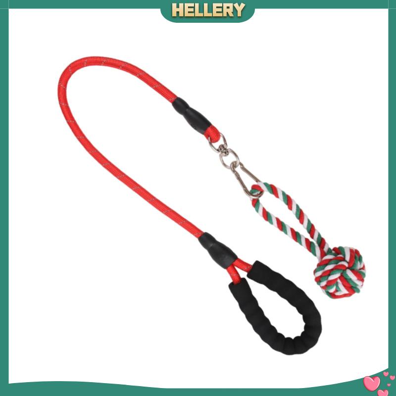 Đồ Chơi Dây Thừng Huấn Luyện Thú Cưng Trong Nhà / Ngoài Trời