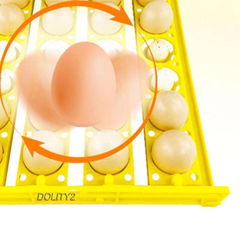 Máy Ấp Trứng Gà 24 Ngăn Tự Động Tiện Dụng