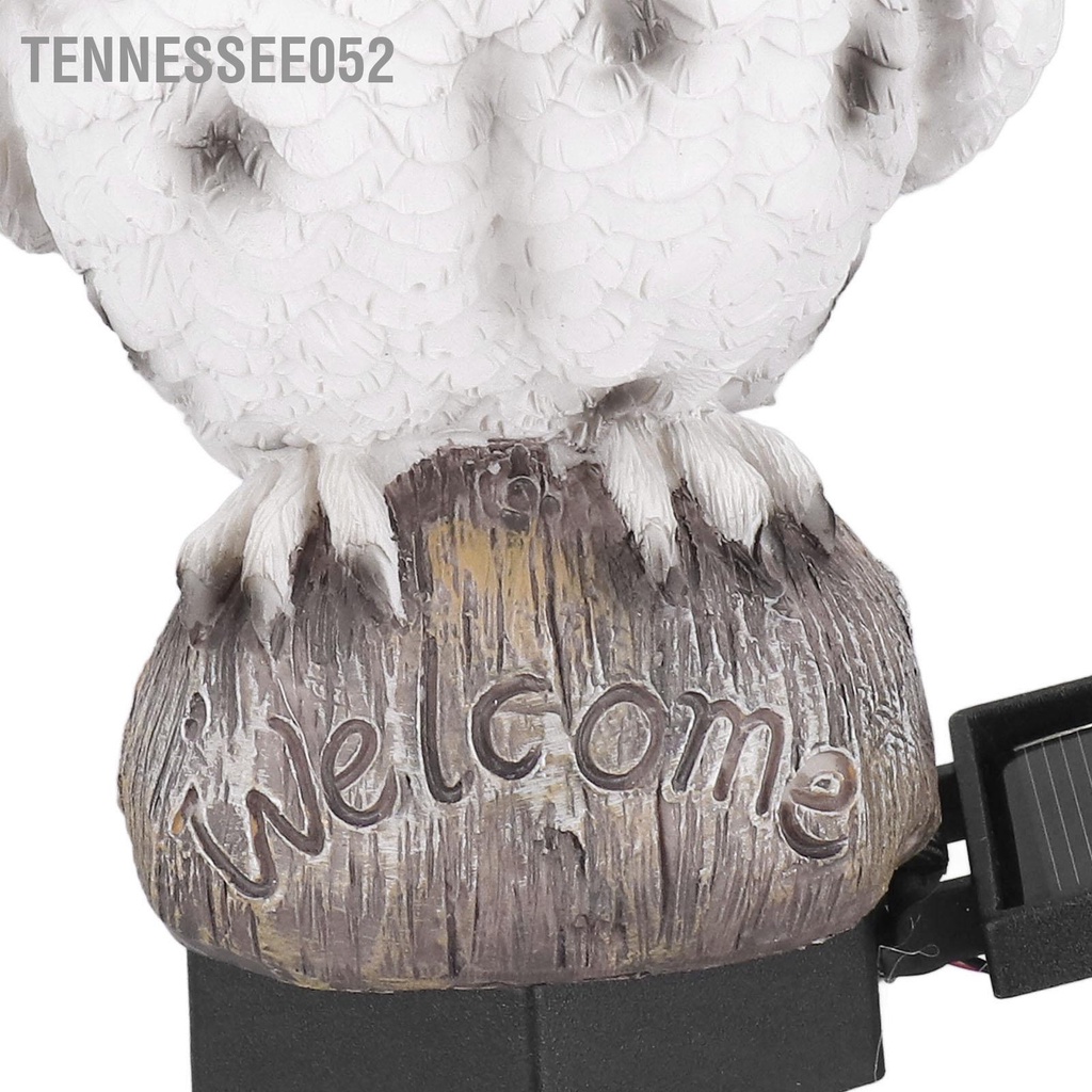 Tennessee052 Đèn đường năng lượng mặt trời sân vườn ngoài Thiết kế cú cảnh quan chạy bằng cho lái xe trong