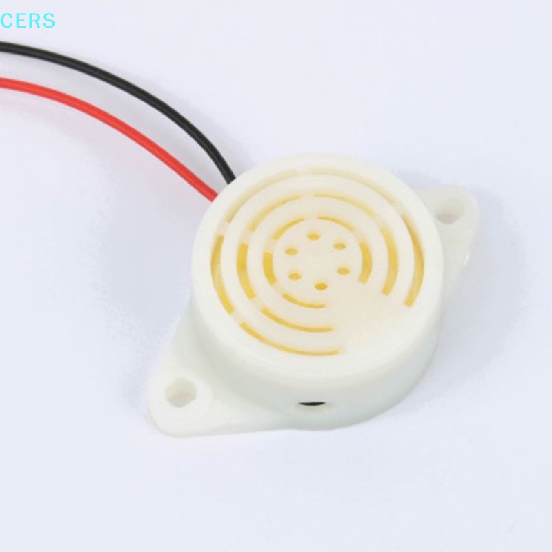 Còi Điện Tử 3v - 24v RS