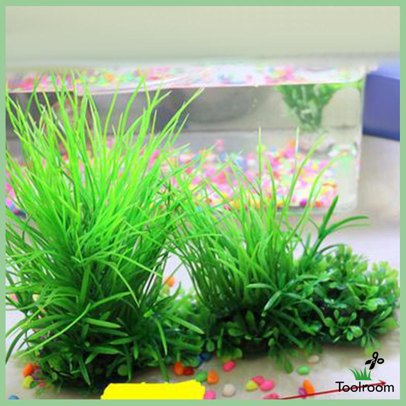 Cây Cảnh Ẩn Trang Trí Bể Cá / Bò Sát
