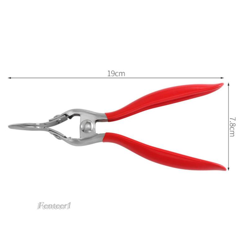 [Fenteer1] Kẹp Mở Sầu Riêng Và Găng Tay Dụng Cụ Sầu Riêng Tiết Kiệm Sức