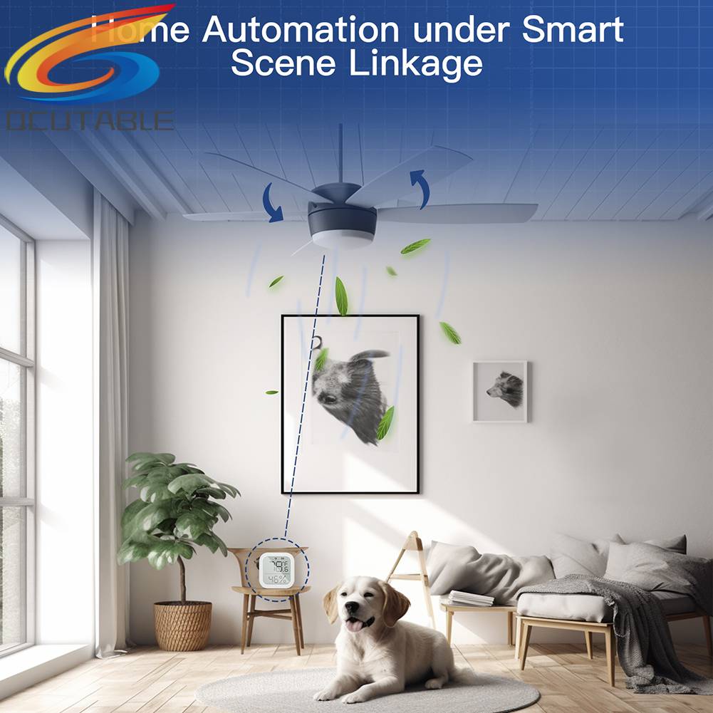 Cầu Dao Không Dây Điều Khiển Từ Xa 220V AC