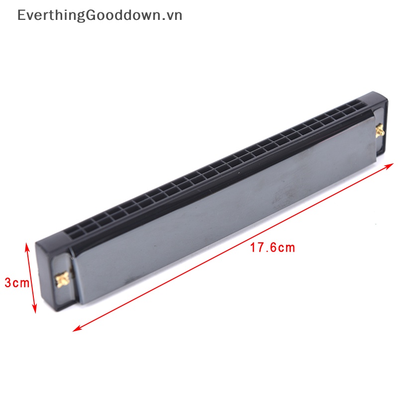 Kèn Harmonica Tremolo 24 Lỗ Chuyên Dụng Chất Lượng Cao