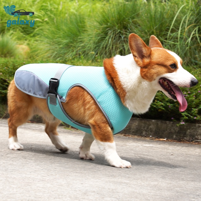 Galaxy Áo Khoác Làm Mát Thoáng Khí Trọng Lượng Nhẹ Có Khóa Cài An Toàn Cho Thú Cưng Cỡ Nhỏ / Vừa