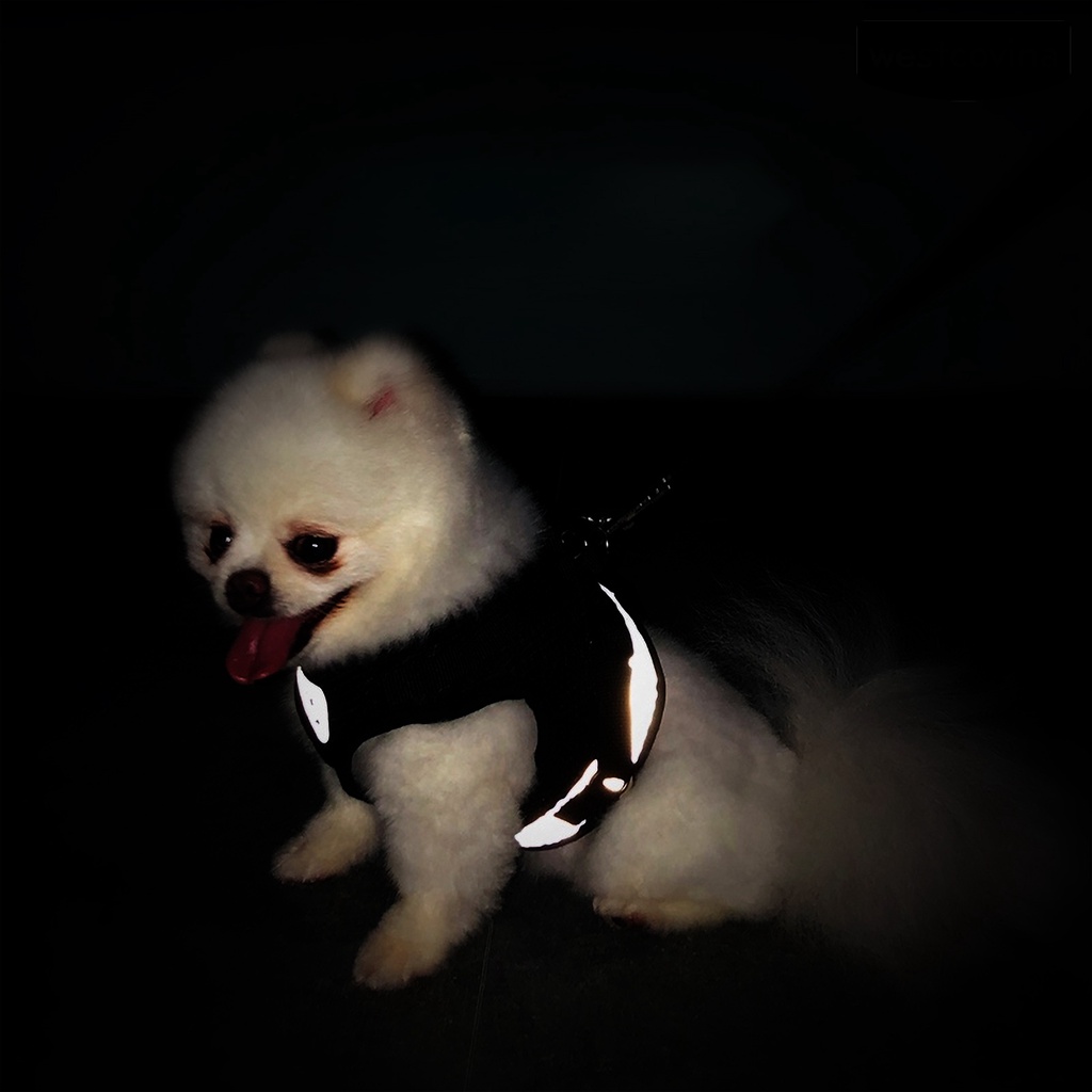 [COD]♞Dây Dắt Thú Cưng Đi Dạo Có Thể Điều Chỉnh Kích Thước Với Dải Phản Quang