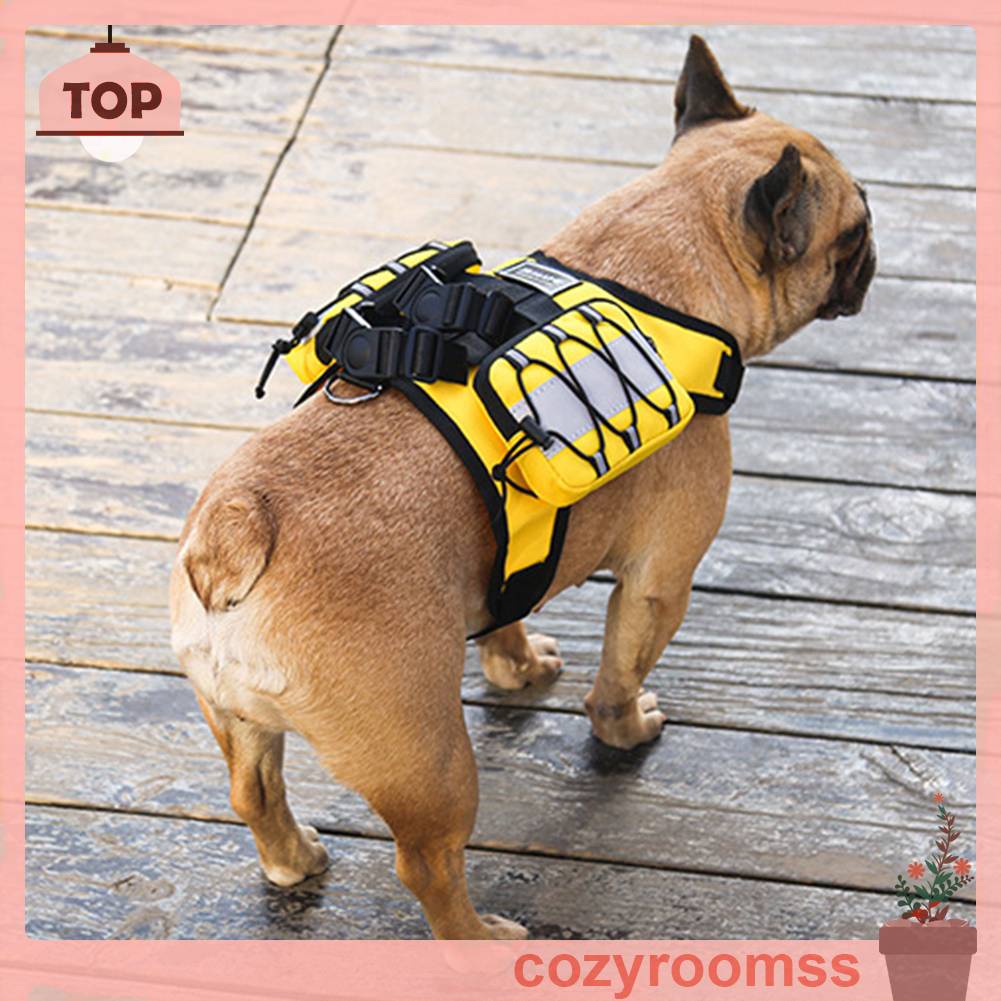 Ba Lô Đựng Thú Cưng Đi Bộ / Leo Núi Kèm Dây Đeo Tùy Chỉnh Tiện Dụng Cho