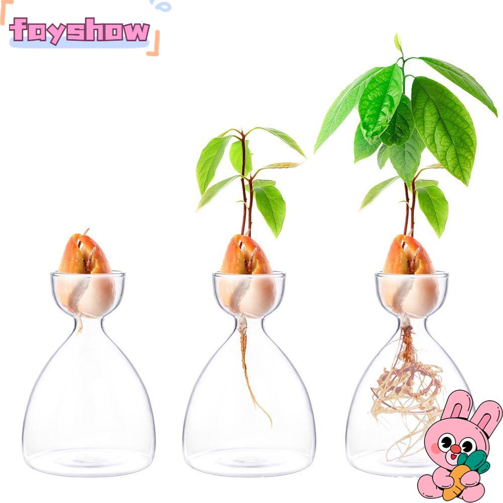 FAY Lọ Gieo Hạt Trong Suốt Dùng Làm Vườn