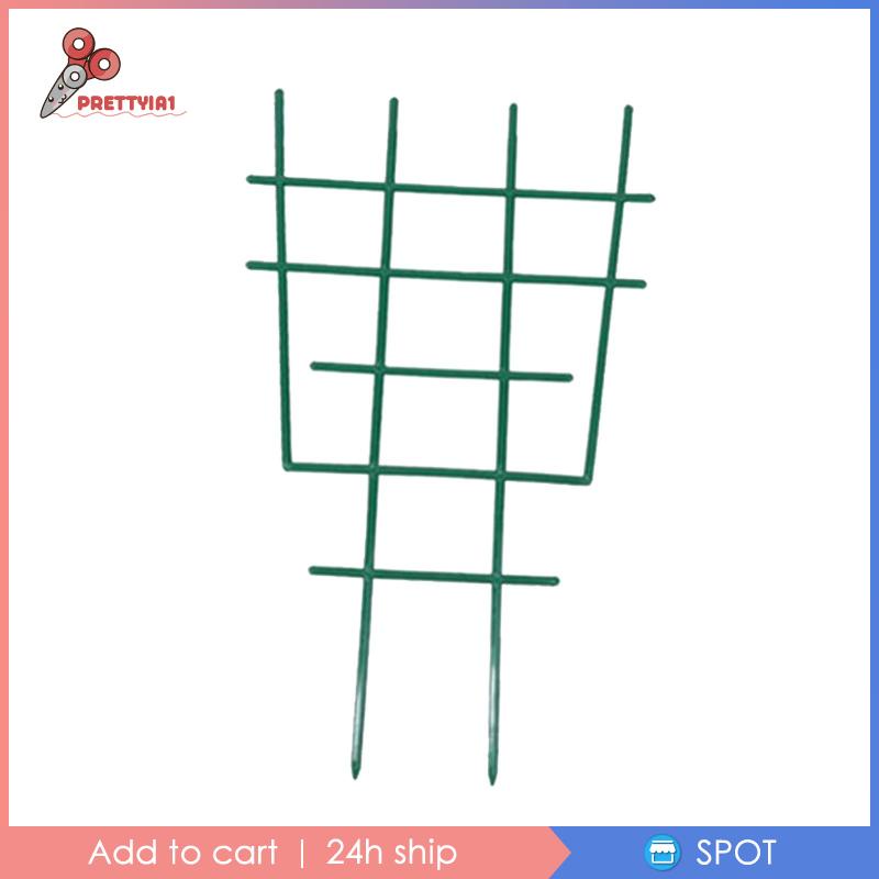 [Prettyia1] Chậu Trồng Cây Dây Leo Nhỏ Trong Nhà DIY