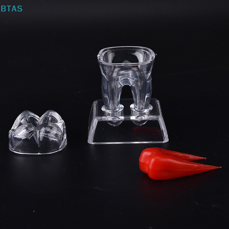 1 Mô Hình Răng Mọc Răng Bằng Nhựa Cứng Trong Suốt