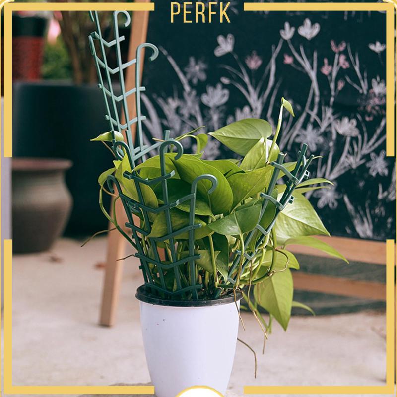 [Perfk] Chậu Trồng Cây Dây Leo Nhỏ Trong Nhà DIY