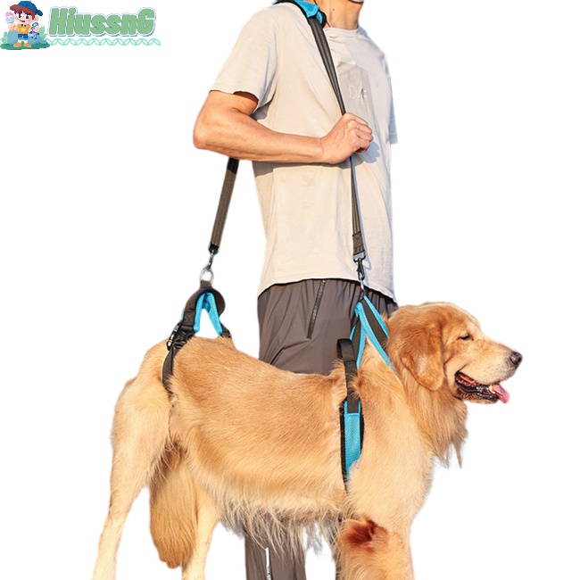 Đai Dắt Thú Cưng Đi Dạo Tiện Lợi