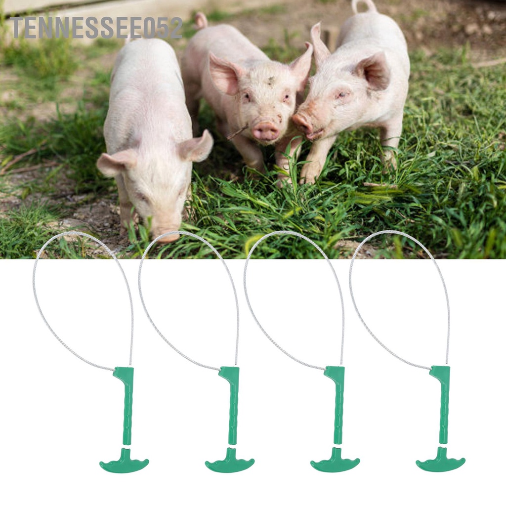 Tennessee052 4 Lợn Giá Đỡ Động Vật Heo Con Bắt Cáp Bẫy Thiết Bị Nông Trại Xanh
