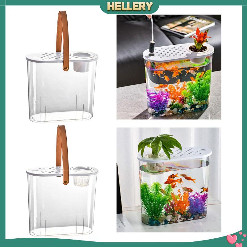 Bể Cá Mini Để Bàn Tiện Lợi Chất Lượng