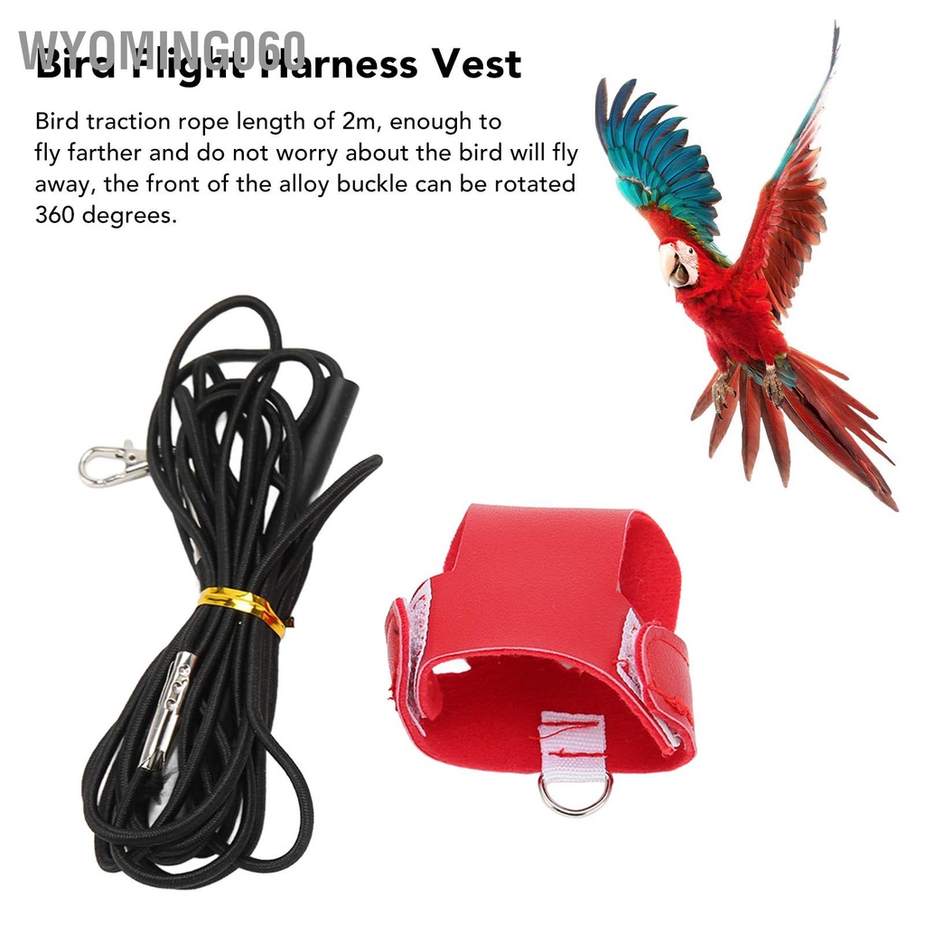 Wyoming060 Chim Bay Dây Vest Da Nhân Tạo Vẹt Chuyến Phù Hợp Với Xích Cho Đuôi Dài Cockatiels Các Hoạt Động Ngoài Trời